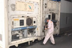 Kiểm tra độ kín của container lạnh trước khi sử dụng