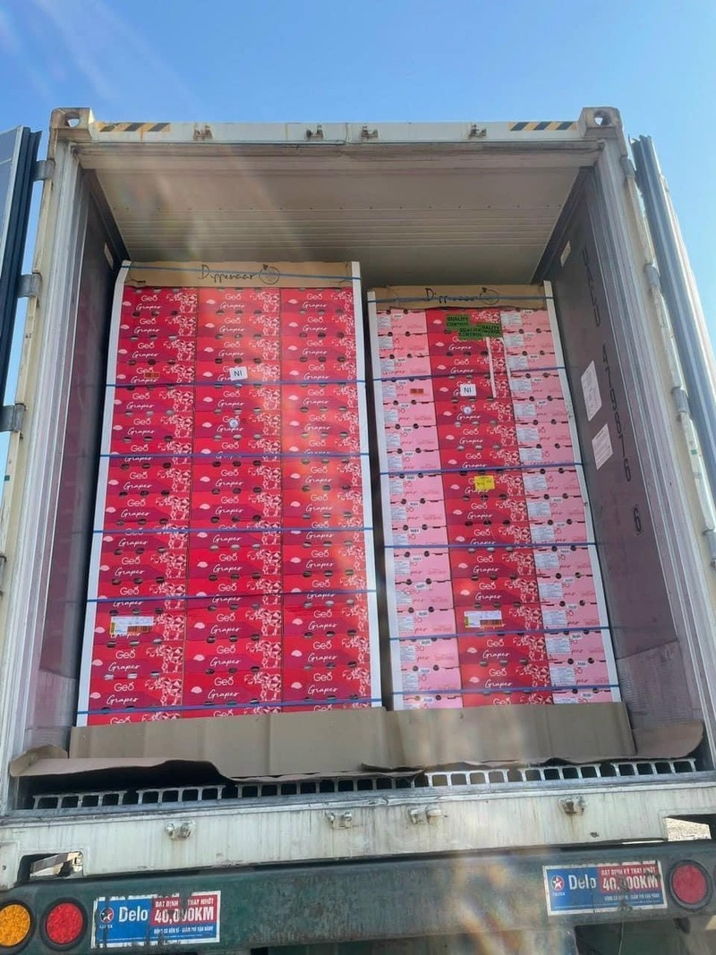 Container trong ngành công nghiệp thực phẩm: Vai trò và tầm quan trọng ...