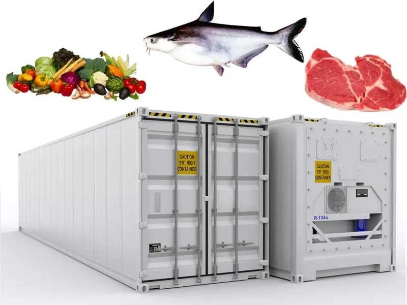 Ung Dung Container Lanh Trong Bao Quan Hai San 1